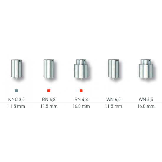 PreFace-Abutment Titan...