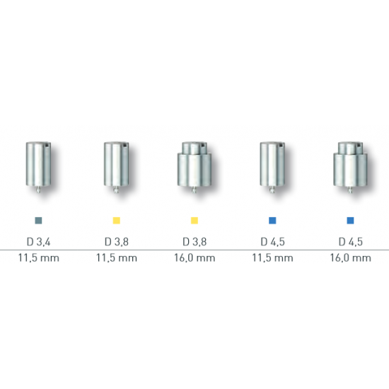 PreFace-Abutment Titan...