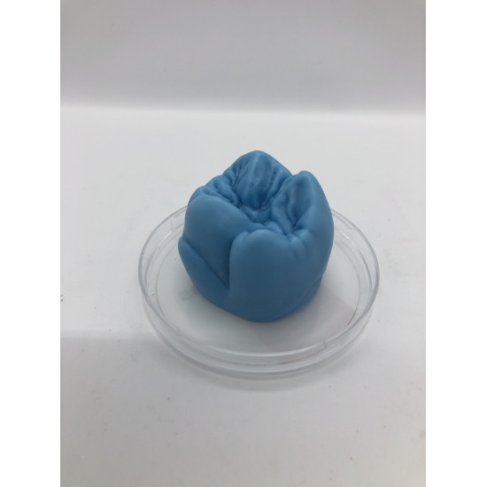 Anstiftwachs "Tooth" blau 40g